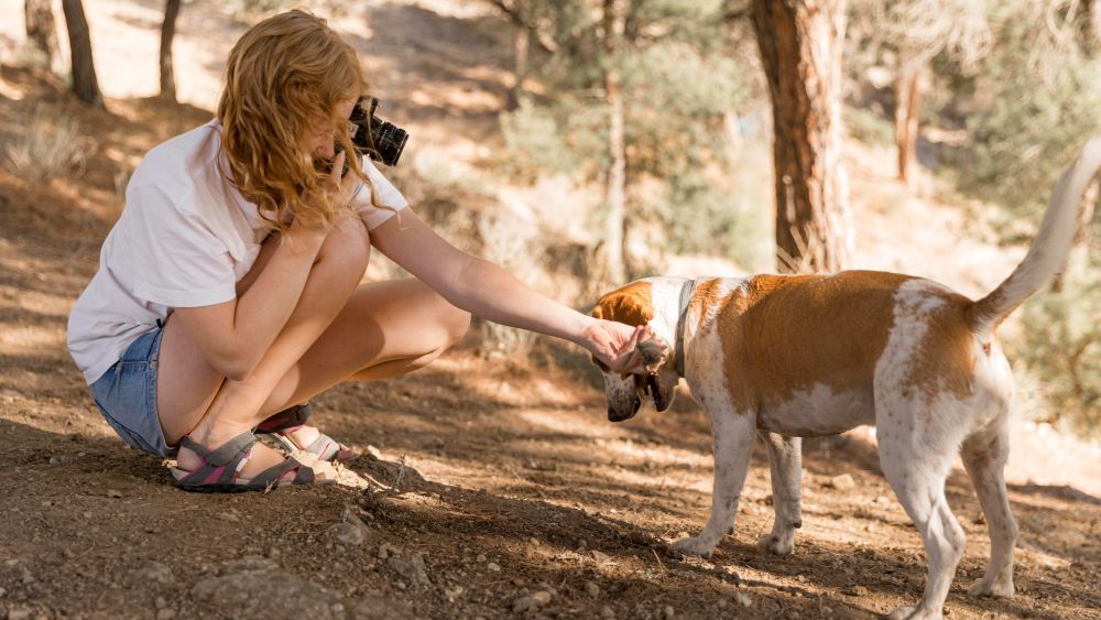Vorbereitung für das Hundefotoshooting: Leckerlis, Spielzeug und Wasser für den Hund sind wichtige Mitbringsel.